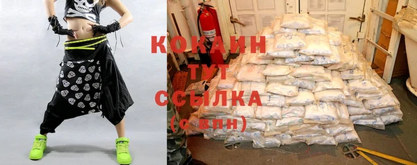 тгк Алексин
